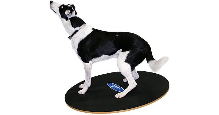 Dog store wobble board